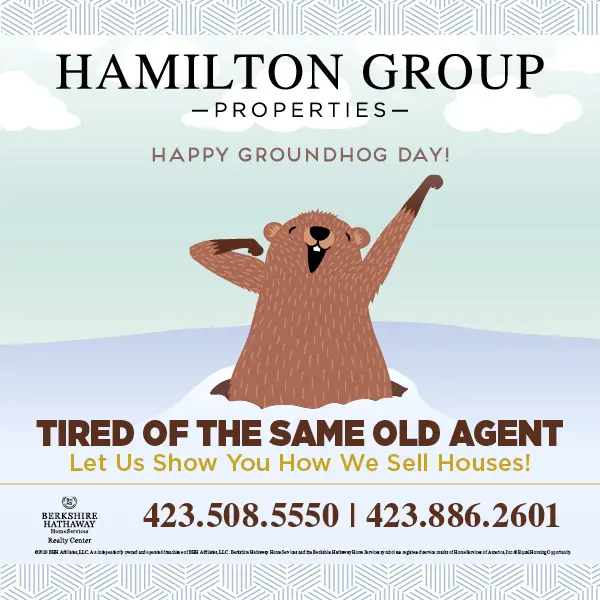 Hamilton Group Social Media Campaign
